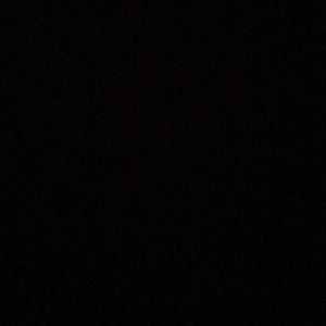 Meet your Posher, Eboni